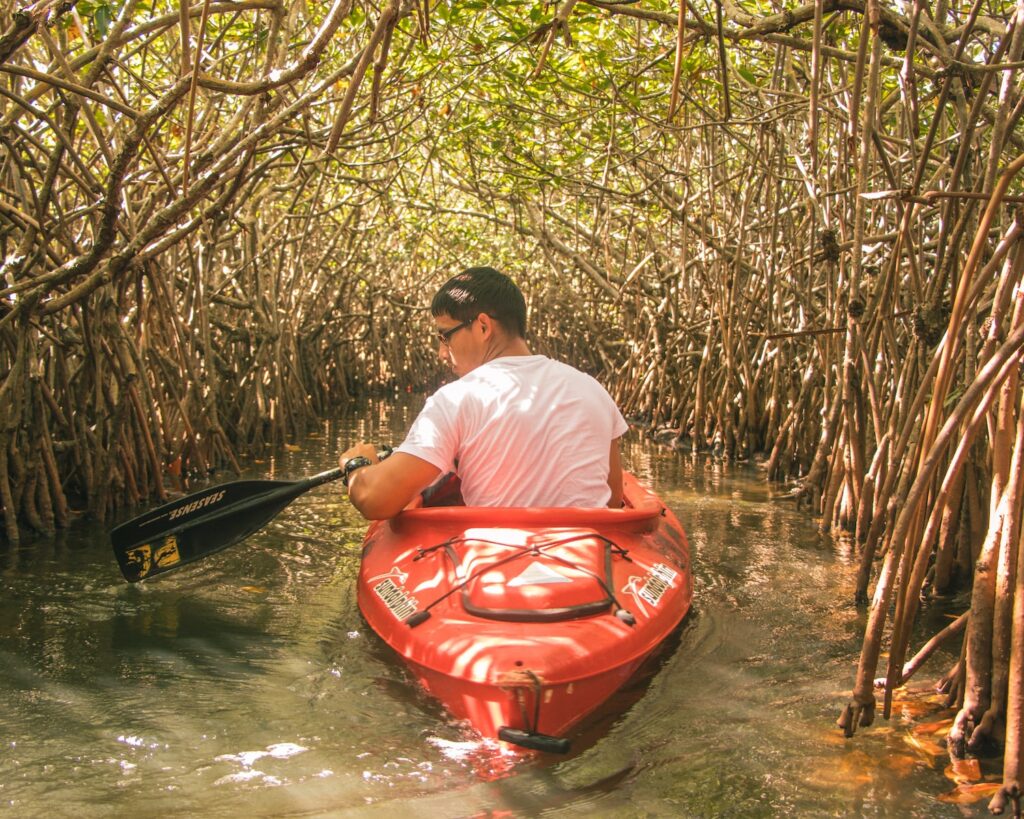 Man in pink shirt rowing orange kayak through mangrove trees