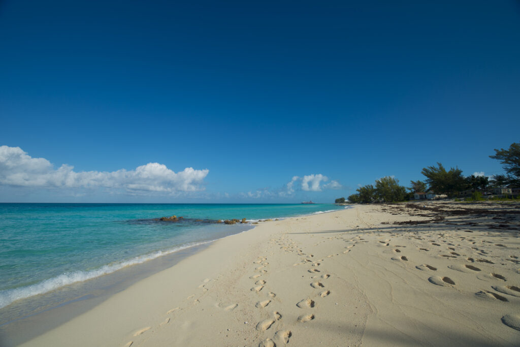 Weather in bimini bahamas in december