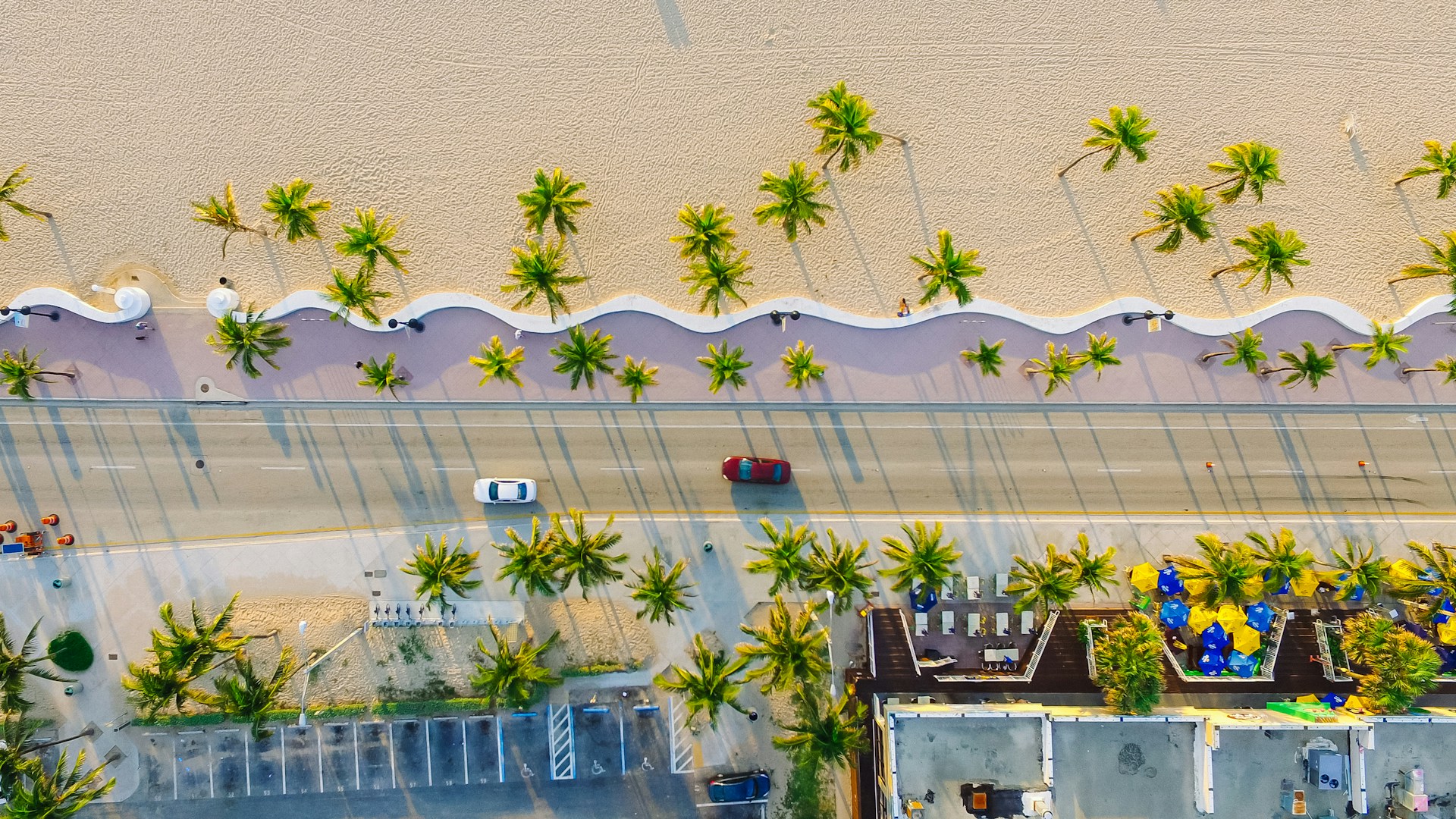 aerial view of fort lauderdale beach road with palm trees and sand