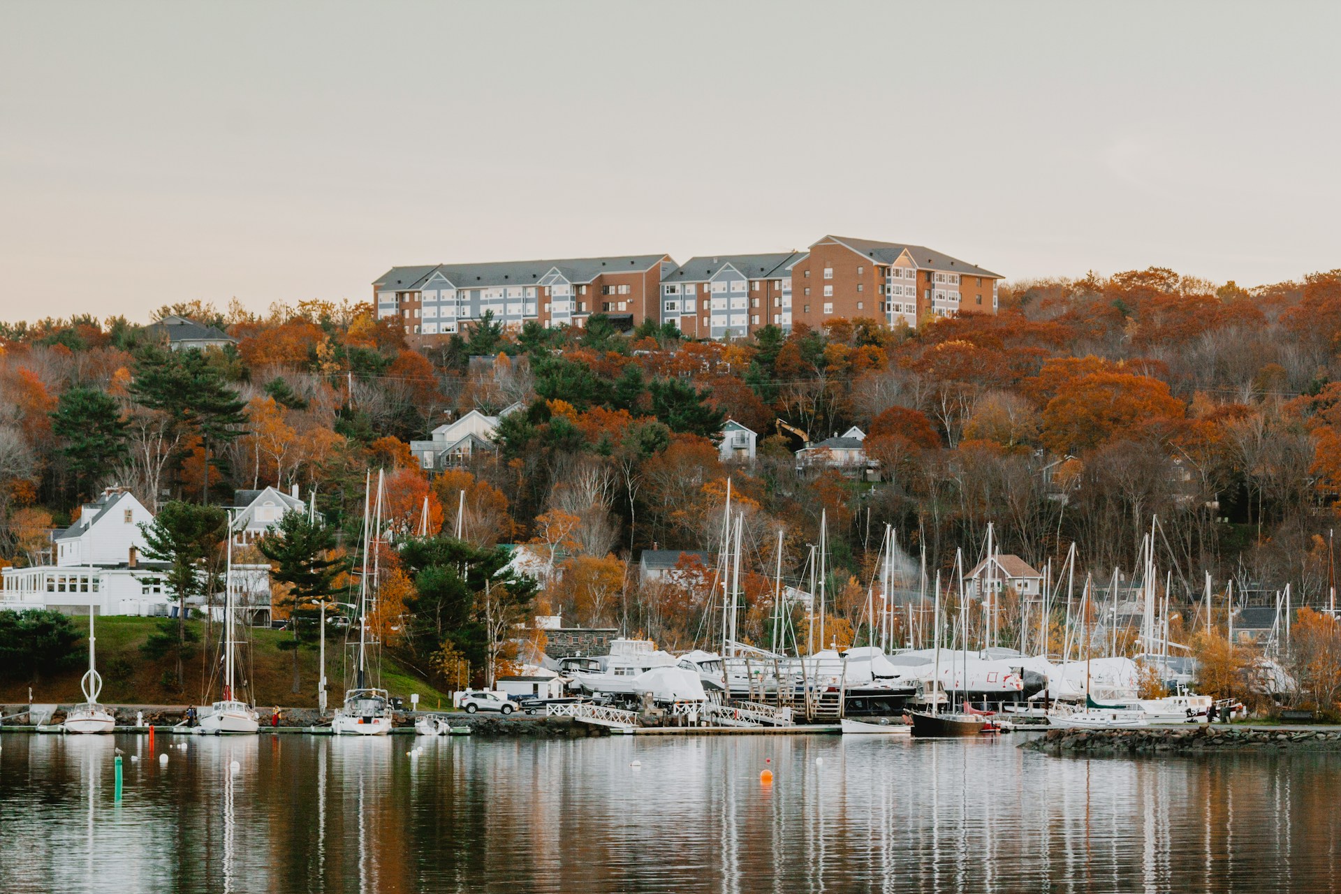 Views of boats on the water and leaves changing colors in Halifax, Nova Scotia