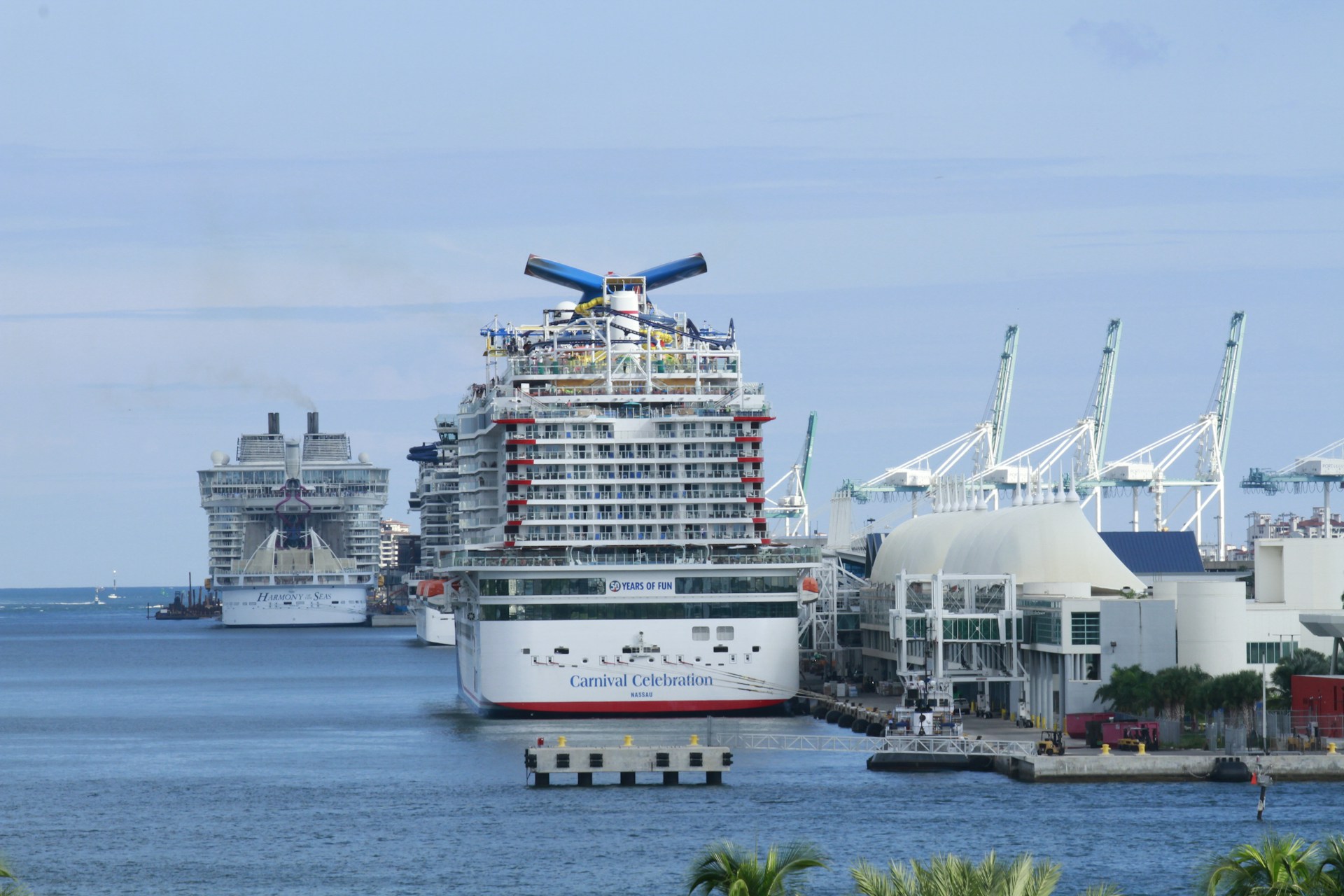 Multiple cruise ships arriving at the cruise port in Palm Beach, Florida.