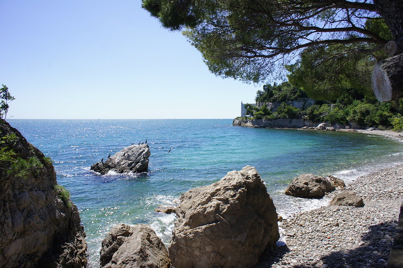 Beautiful view of rocks on the ocean and trees in the background of a beach in Trieste, Italy.
