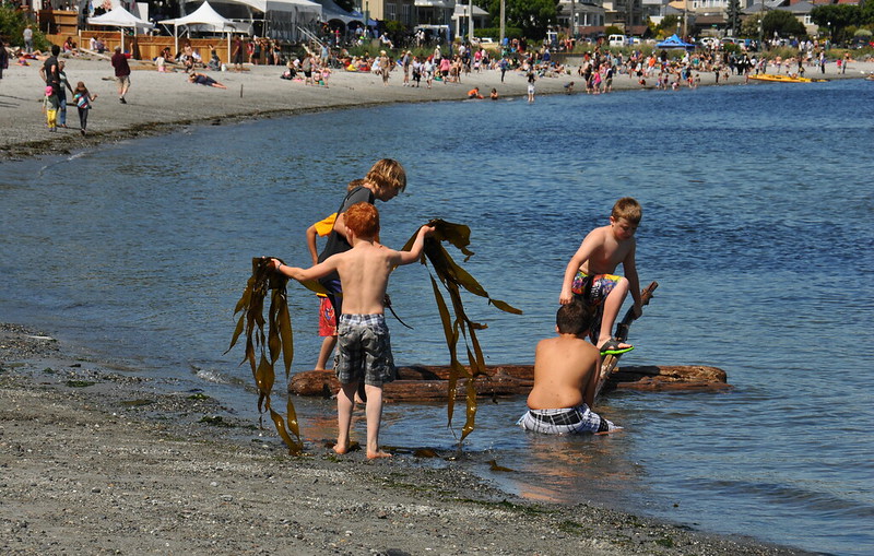 Kids playing in the water at Willows Beach in Victoria, BC. 