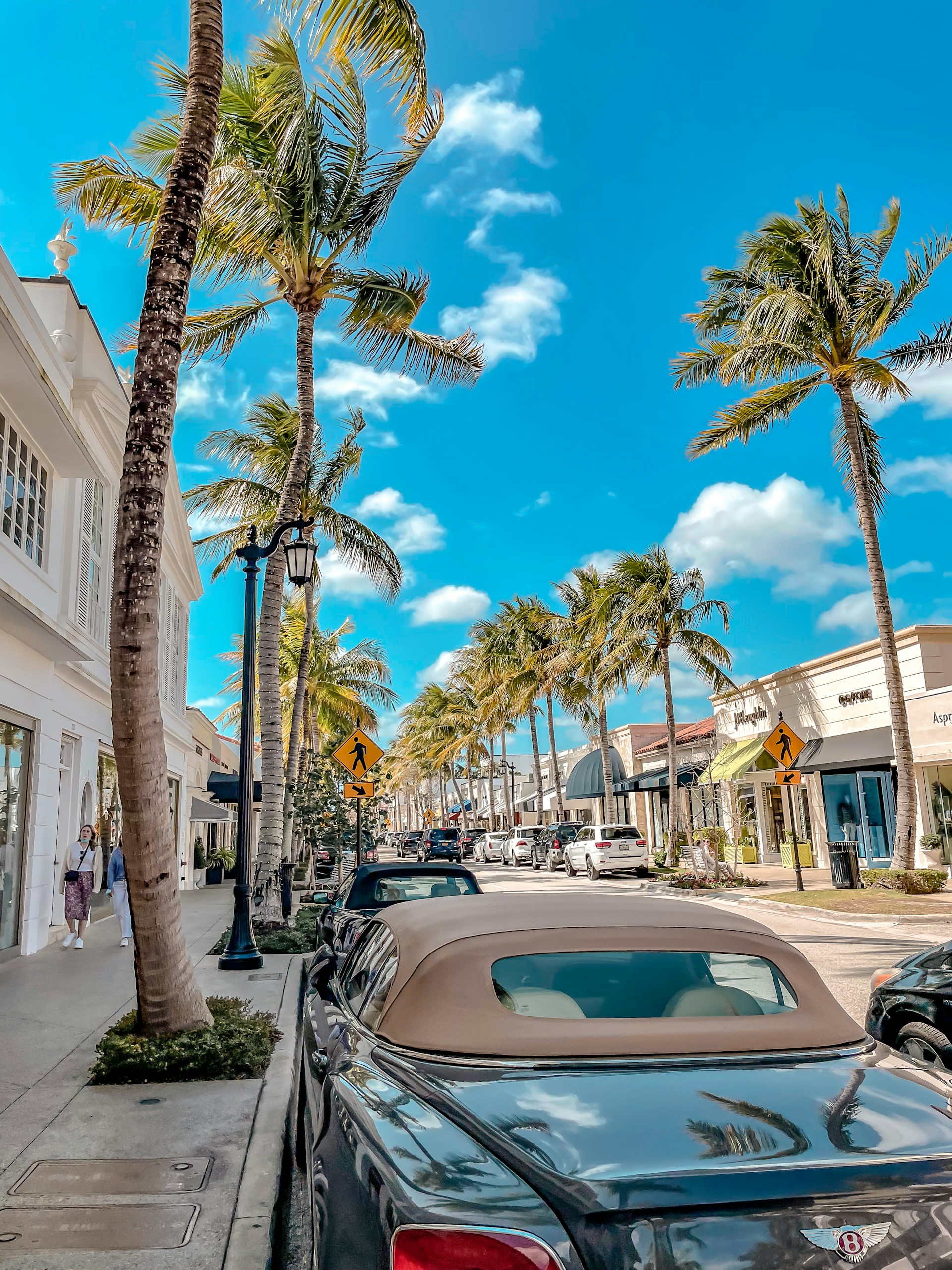 cars filling the streets of worth avenue in Palm beach, Florida. Lots of beautiful palm trees